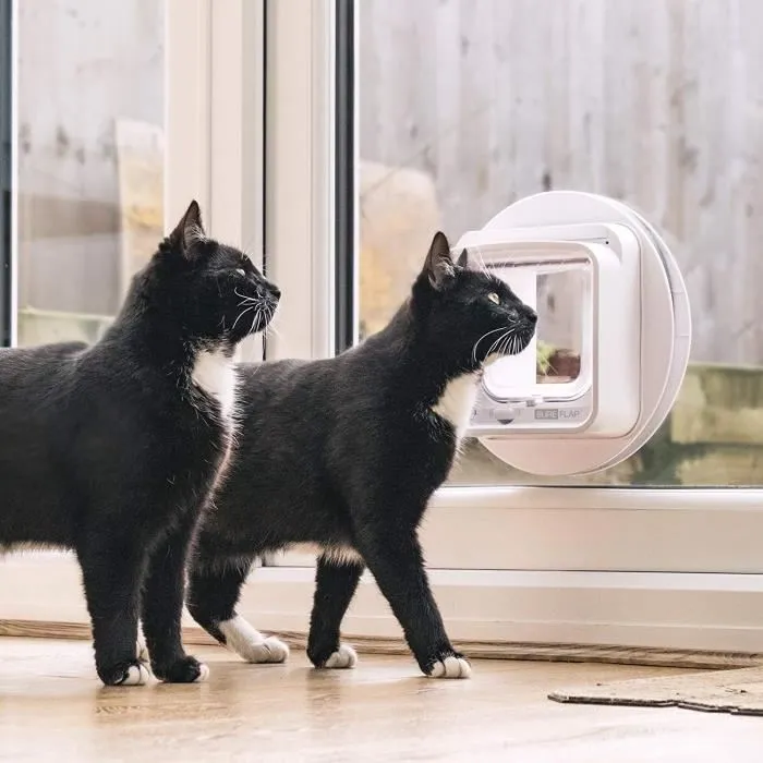 Sureflap Chatiere Connect con Chip Electrónico y Hub iDSCFWTB1 - Blanco 4 Sureflap Chatiere Connect con Chip Electrónico y Hub iDSCFWTB1 - Blanco 4