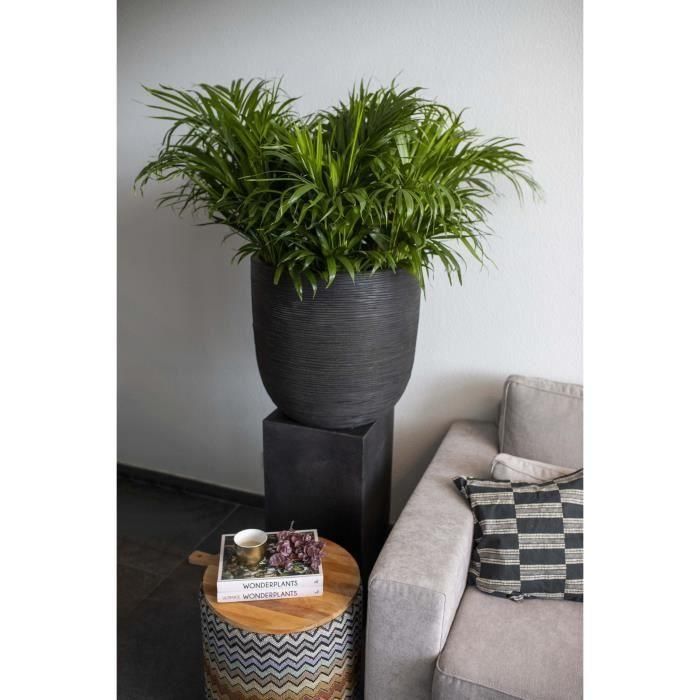 Capi Jardiniere Nature Rib 54 x 52 cm Negro KBLR935 2 Capi Jardiniere Nature Rib 54 x 52 cm Negro KBLR935 2