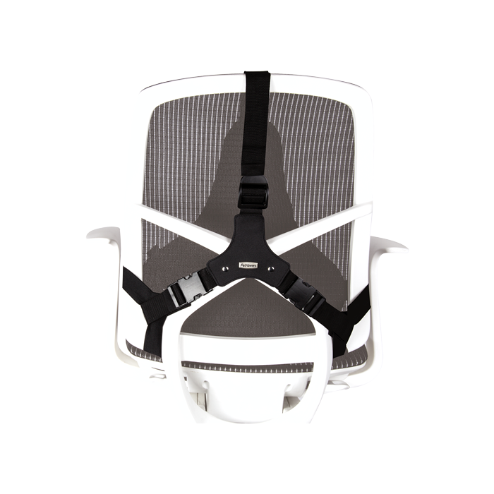 Fellowes Respaldo Ergonómico Profesional con Memory Foam de 3 Secciones, Adaptable a la Curvatura de la Espalda, Color Negro 1