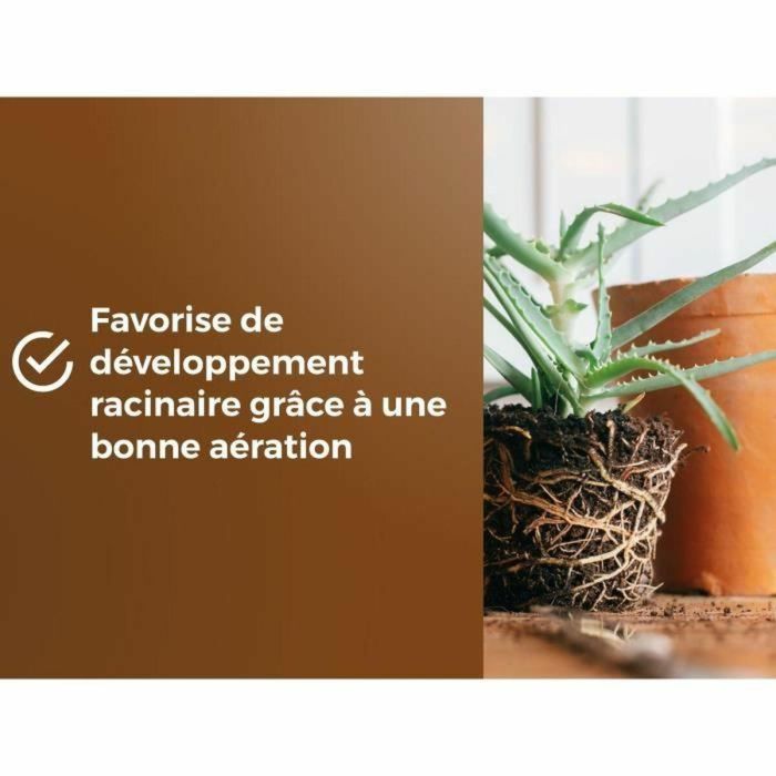 Or Brun OBRTREM6U Tierra Universal para Macetas Brown Gold 6L Mejora el Crecimiento 2