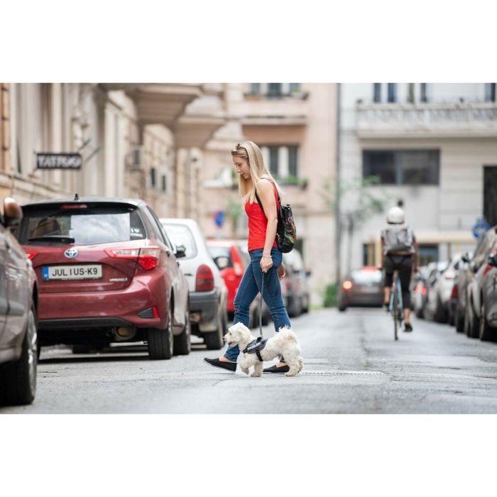 Arnés para Perro Julius K9 IDC Vaquero 2 Baby 2 (XS/S) 4