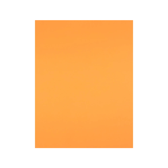 Liderpapel Cartulina Nectarina 50x65 cm 240g/m2 Paquete de 25 Hojas para Dibujo y Manualidades 2