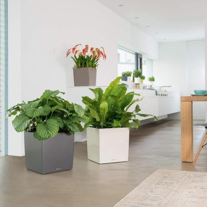 Lechuza LEC4008789165657 Macetero Cube Premium 50, juego completo, color topo brillante 4