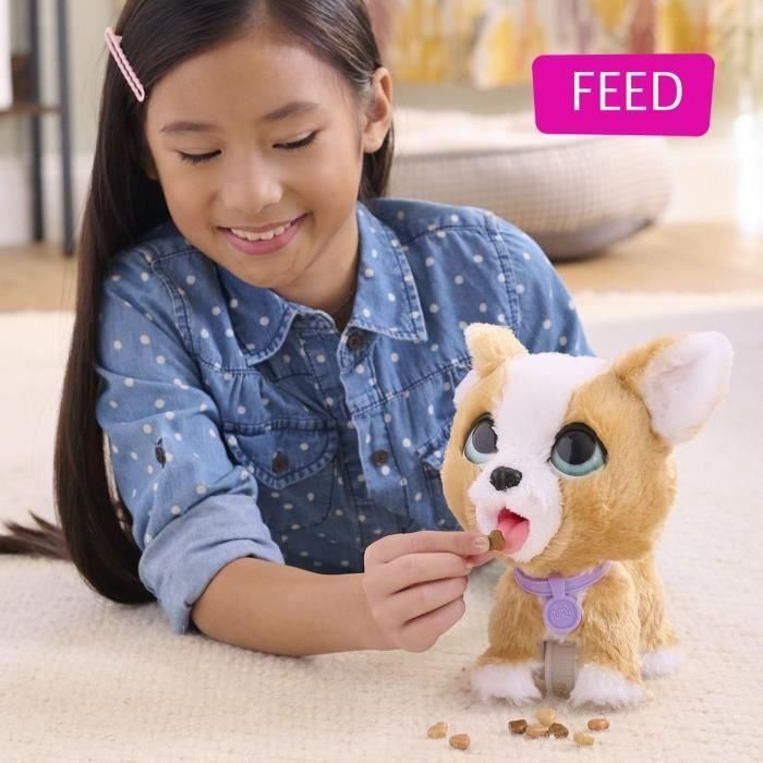 Juguete interactivo - FURREAL FRIENDS - My Popo Friend 23 cm - Animal interactivo con correa, golosinas y pala 2 Juguete interactivo - FURREAL FRIENDS - My Popo Friend 23 cm - Animal interactivo con correa, golosinas y pala 2