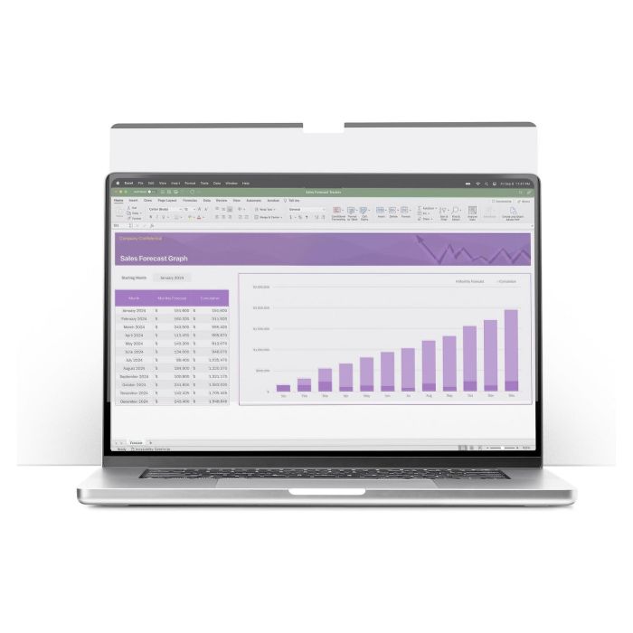 StarTech Protector de Pantalla de Privacidad Magnético para MacBook Air 15" 2023/2024 con Filtro Anti Luz Azul 2