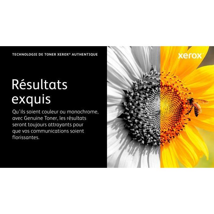 Xerox 006R04399 Cartucho de Tóner Negro Estándar (1200 Páginas) Compatible con Impresoras Xerox B225, B230 y B235 23