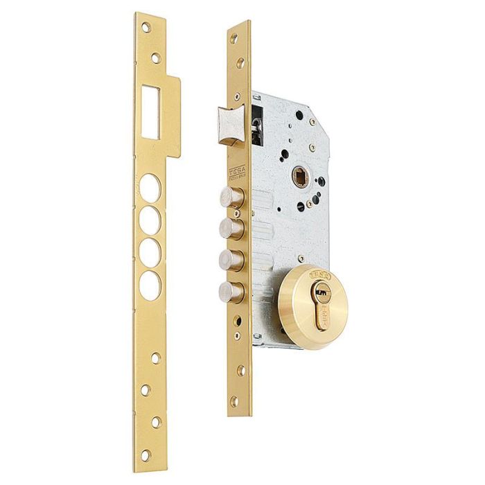 Tesa R100B566E Cerradura de Seguridad Monopunto para Embutir con 4 Bulones, Cilindro T60 60mm, Acero Esmaltado