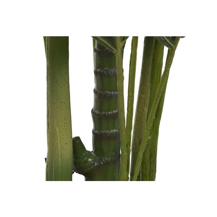 Planta Tropical DKD Home Decor Verde 100 x 220 x 100 cm (2 Unidades) 2 Planta Tropical DKD Home Decor Verde 100 x 220 x 100 cm (2 Unidades) 2