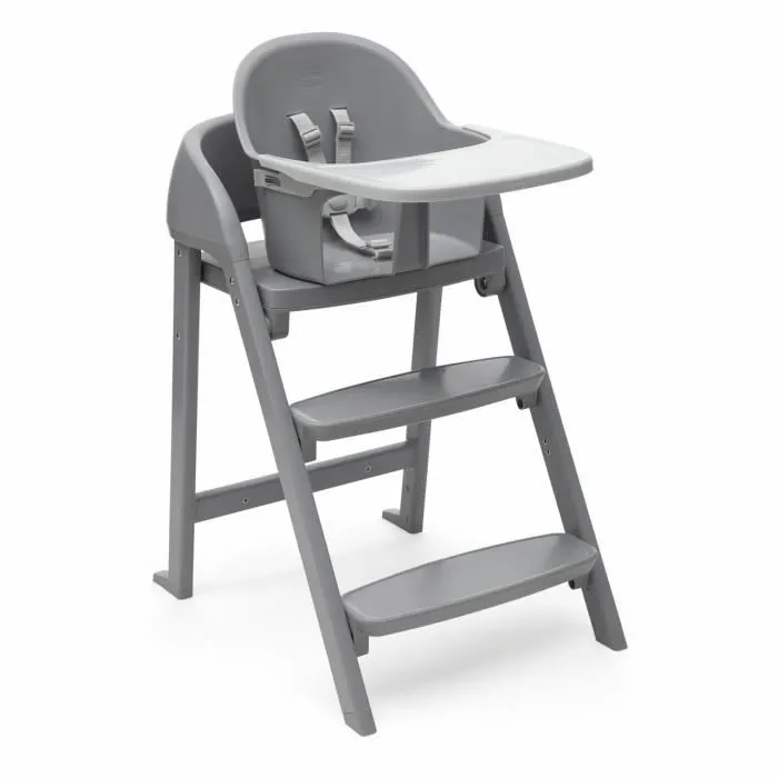 Chicco 8058664171613 Accesorio bandeja Crescendo Lite 1 Chicco 8058664171613 Accesorio bandeja Crescendo Lite 1