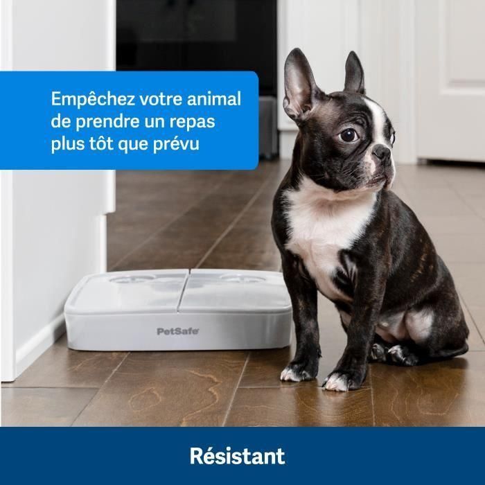 Máquina expendedora - PETSAFE - 2 comidas 2 Máquina expendedora - PETSAFE - 2 comidas 2