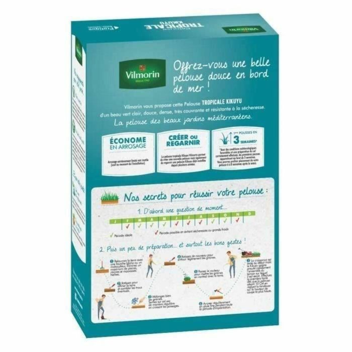 Vilmorin VIL3182670261374 Semillas de Hierbas Tropicales Kikuyu - 500 g 3