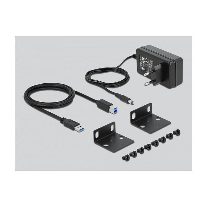 DeLOCK Hub Industrial 10" (25.4cm) 10x USB 3.2 Gen 1 Tipo-A, con Alimentación AC, 5 Gbps, Plug & Play, Color Negro 1