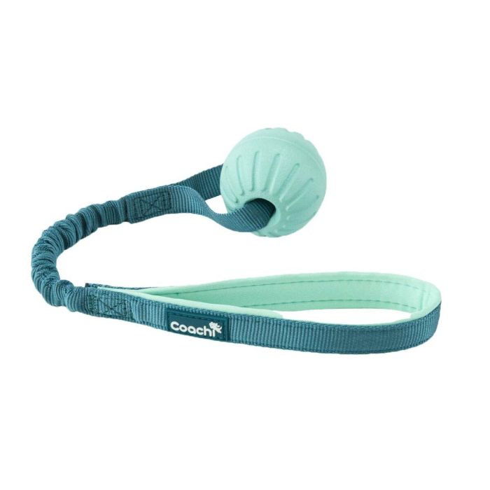 Arnés para Perro Coachi 4 Arnés para Perro Coachi 4