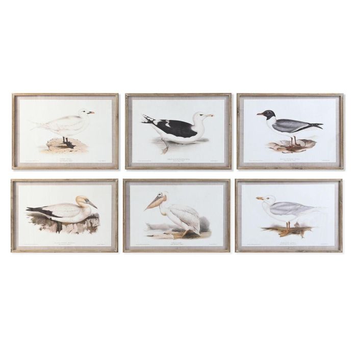 Cuadro DKD Home Decor 70 x 2,5 x 50 cm Tradicional Pájaros (6 Piezas) Cuadro DKD Home Decor 70 x 2,5 x 50 cm Tradicional Pájaros (6 Piezas)