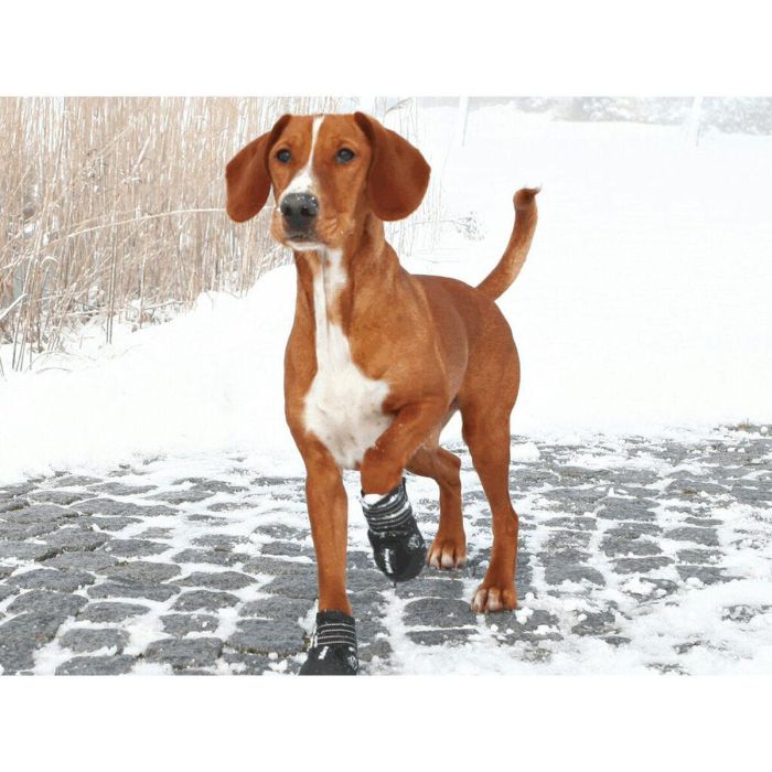 Botas Trixie 19463 Negro M 2