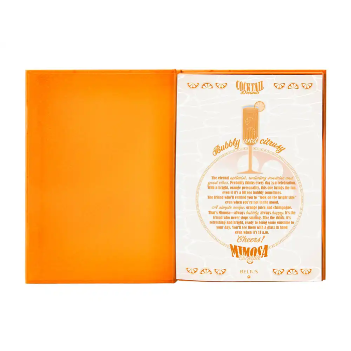 Belius Cocktails Bolígrafo y Tarjetero de Aluminio y Símil Piel, Naranja Plateado con Tinta Azul, Protección RFID, Caja Diseño 4