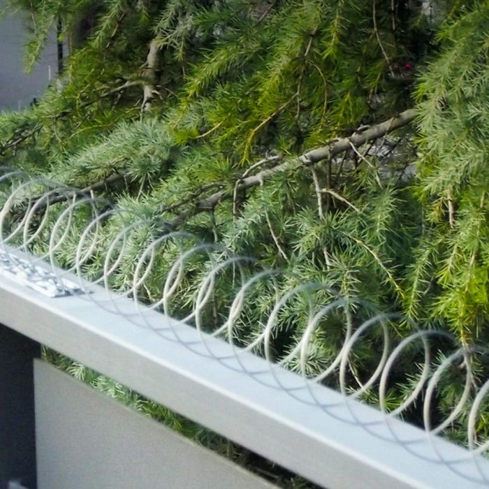 Disuasorio espiral para aves. ideal para balcones. acero inoxidable 5m 1