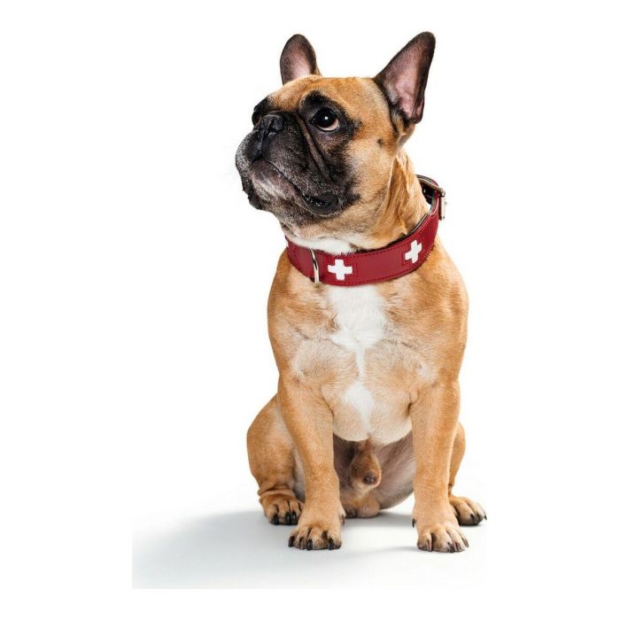 Collar Swiss 35-43 cm Rojo-Negro 2 Collar Swiss 35-43 cm Rojo-Negro 2