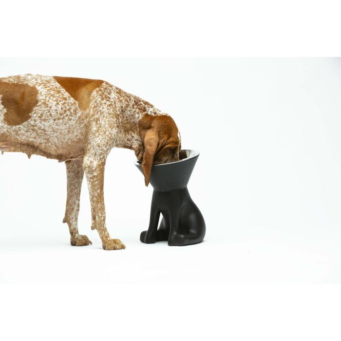 Comedero para Perro United Pets Up Elisabeth Negro Acero Inoxidable Polietileno 1 L 1 Comedero para Perro United Pets Up Elisabeth Negro Acero Inoxidable Polietileno 1 L 1