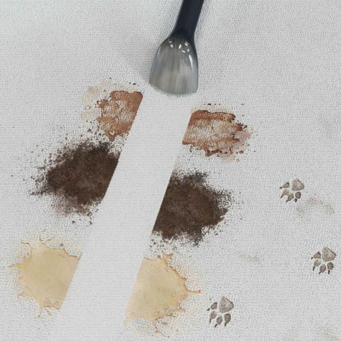 Hoover HOO8059019103631 Quitamanchas y Champú para Alfombras, Tapetes, Sofás, Telas y Asientos de Coche. Potente 400 W 3 Hoover HOO8059019103631 Quitamanchas y Champú para Alfombras, Tapetes, Sofás, Telas y Asientos de Coche. Potente 400 W 3