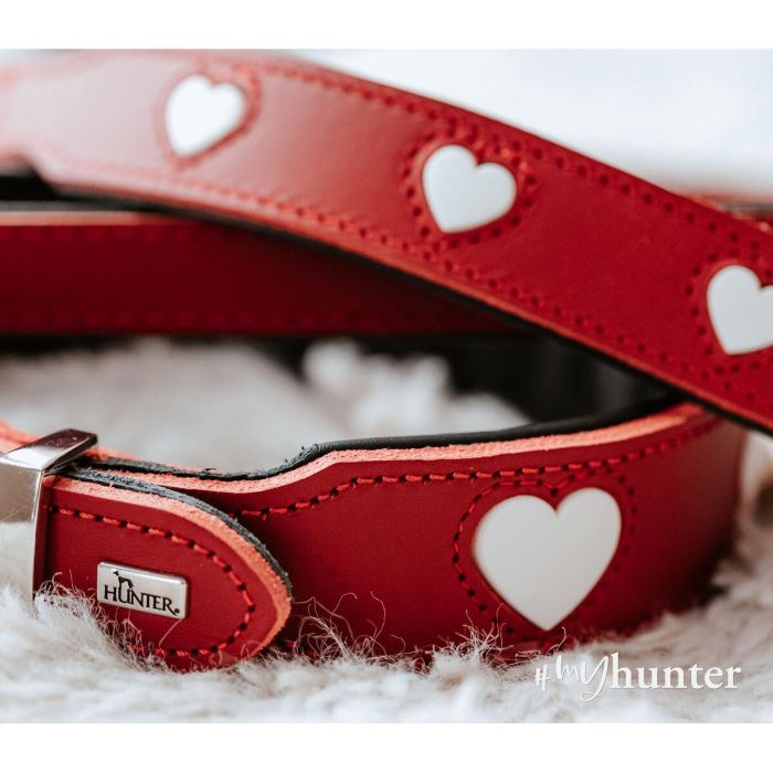 Hunter Collar Love, Cuero Vacuno con Corazones Cosidos, Robusto y Suave XS-S Cuello 30-34 cm Ancho 2.6 cm Rojo-Negro 4 Hunter Collar Love, Cuero Vacuno con Corazones Cosidos, Robusto y Suave XS-S Cuello 30-34 cm Ancho 2.6 cm Rojo-Negro 4