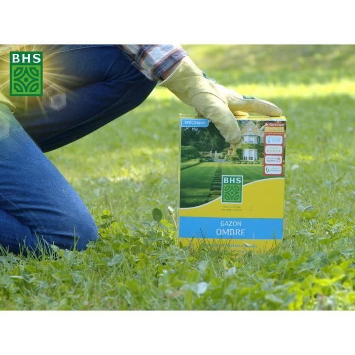 Césped - BHS - Césped de sombra 1kg | 40m² | Resistente a poca luz y zonas sombreadas. 4 Césped - BHS - Césped de sombra 1kg | 40m² | Resistente a poca luz y zonas sombreadas. 4
