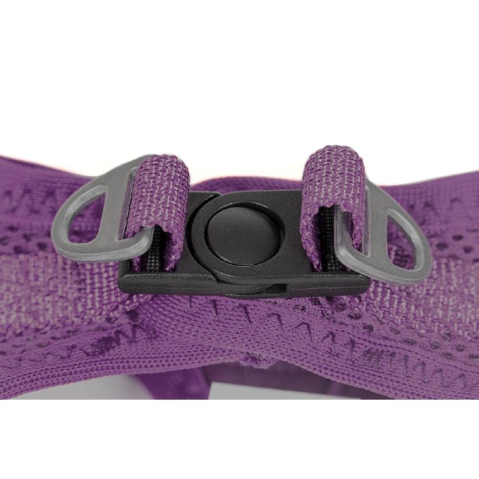 Arnés para Perro Gloria Trek Star 24-26 cm 28-28,6 cm Morado XXS 2