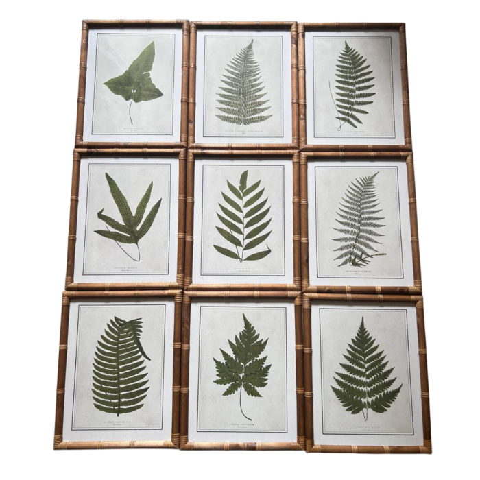 DKD Home Decor Cuadro Cottage Bambú Cristal Verde Natural Botánico 2.5 x 50 x 40 cm (9 Unidades)