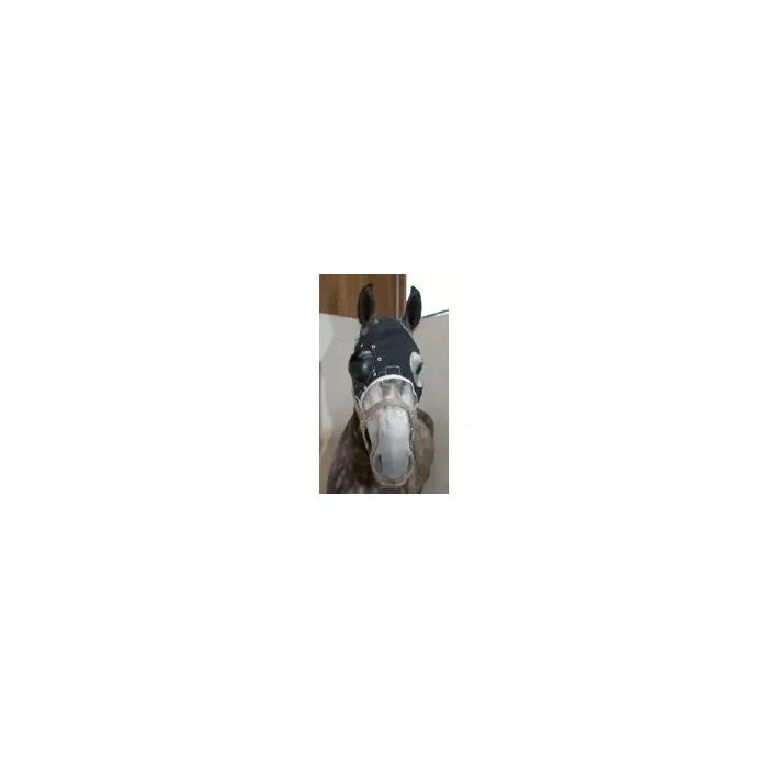 Eye Protector Equivet Ojo Derecho Medio Kruuse Eye Protector Equivet Ojo Derecho Medio Kruuse