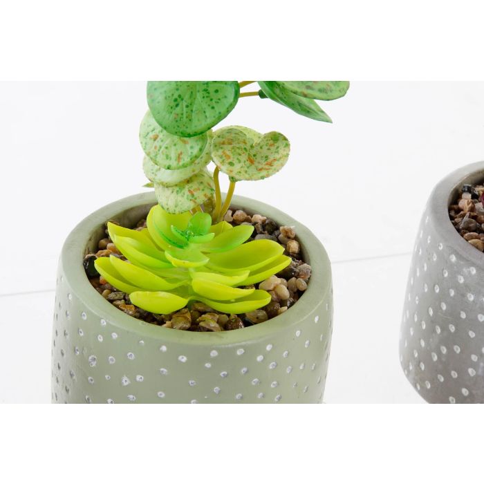 DKD Home Decor Planta Artificial Decorativa Set de 6 Unidades de 18 cm de Alto con Maceta de Cemento y PE Colores Surtidos 1 DKD Home Decor Planta Artificial Decorativa Set de 6 Unidades de 18 cm de Alto con Maceta de Cemento y PE Colores Surtidos 1