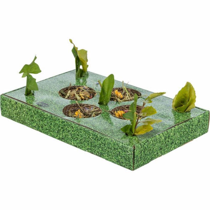Bandeja de Aperitivos Trixie Verde Cartón 28 x 3,8 x 18 cm 9 Bandeja de Aperitivos Trixie Verde Cartón 28 x 3,8 x 18 cm 9