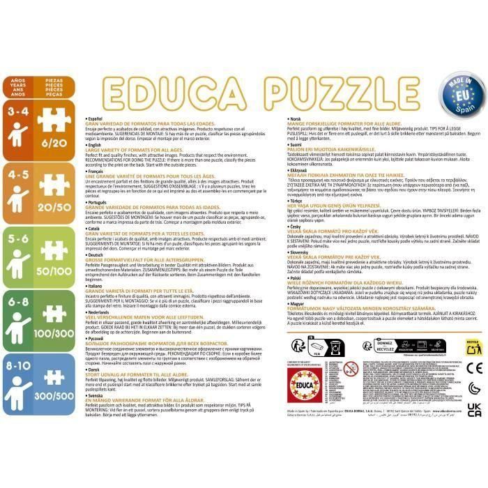 Puzzle - EDUCA - Osito Pardo: 4 puzzles progresivos para niños de 12 a 25 piezas para niños de 3 años 2