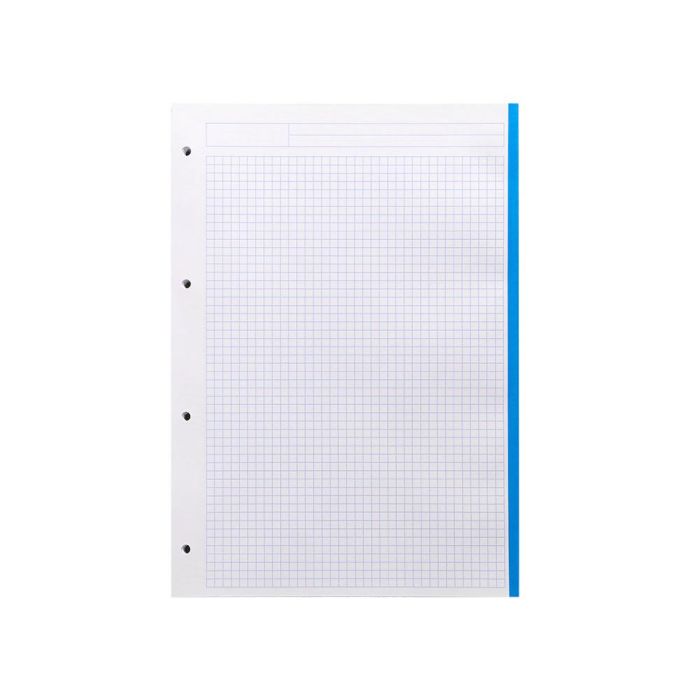 Recambio Liderpapel A4 100 Hojas 100 gr-M2 Cuadro 5 mm 4 Taladros Bandas De 5 Colores 24 unidades 5