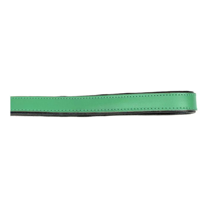 Correa para Perro Gloria 1.8 x 100 cm Verde 2 Correa para Perro Gloria 1.8 x 100 cm Verde 2