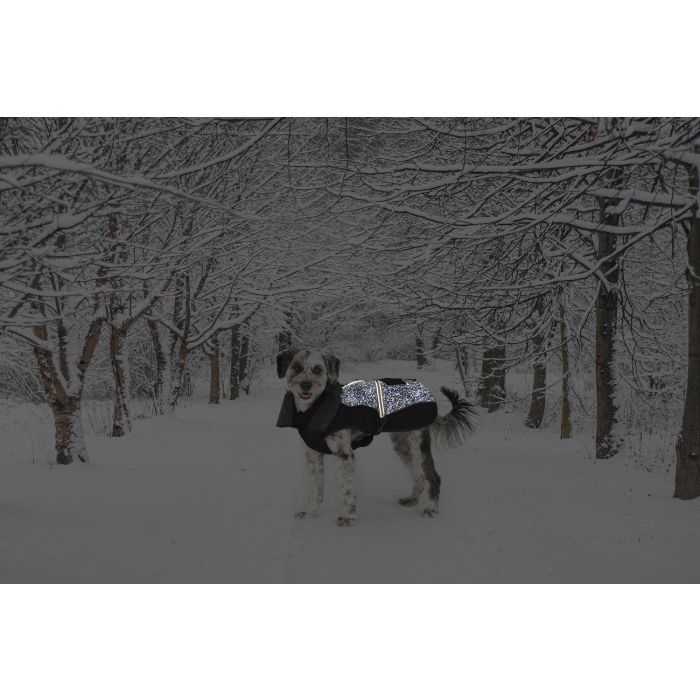 Dog Gone Smart Parka Abrigo Aspen Negro 35 cm Impermeable Cortavientos Forro Polar Reflectante y Antimanchas para Perro 0 Dog Gone Smart Parka Abrigo Aspen Negro 35 cm Impermeable Cortavientos Forro Polar Reflectante y Antimanchas para Perro 0
