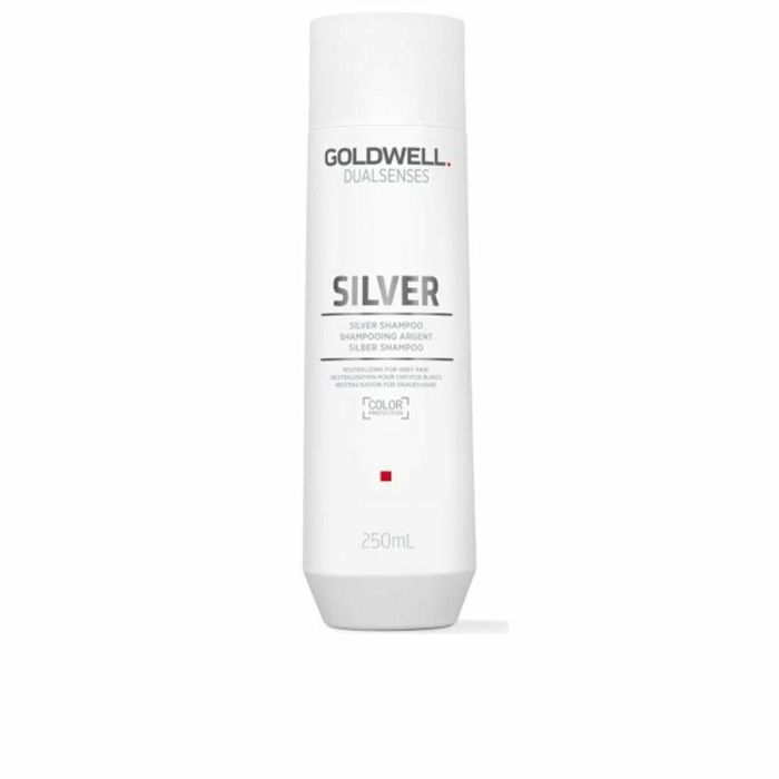 Goldwell Silver Shampoo Goldwell Silver Shampoo