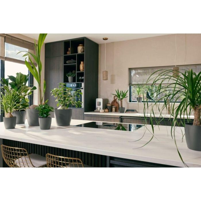 Set de Macetas Elho Plástico Redondo 3 Piezas 8 Set de Macetas Elho Plástico Redondo 3 Piezas 8