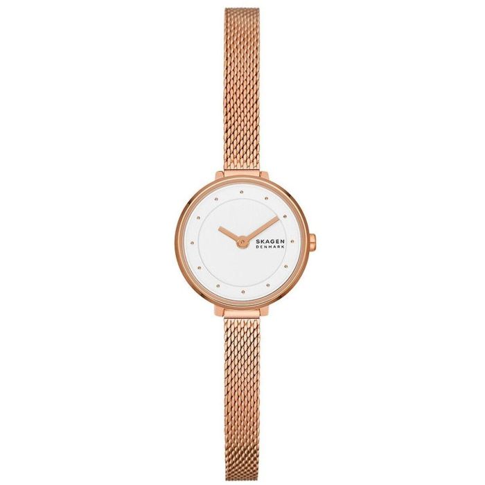 Reloj Mujer Skagen GITTE LILLE (Ø 22 mm)