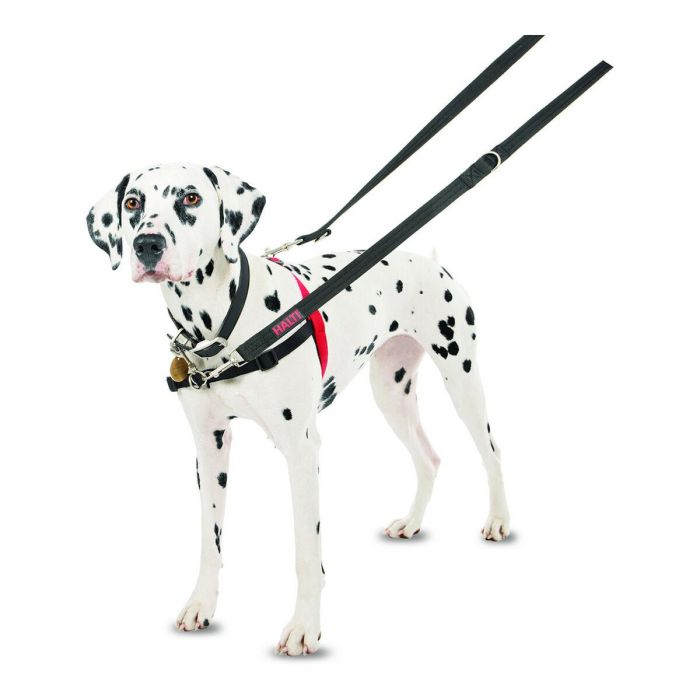 Arnés para Perro Company of Animals Halti Negro/Rojo Talla M (58-86 cm) 9