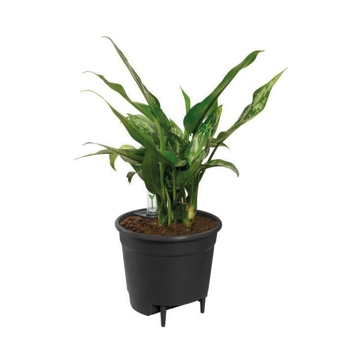 Elho Maceta con autorriego Insert 36 - Negro - Ø 36 x H 35 cm - accesorios de interior - 100% reciclado Elho Maceta con autorriego Insert 36 - Negro - Ø 36 x H 35 cm - accesorios de interior - 100% reciclado