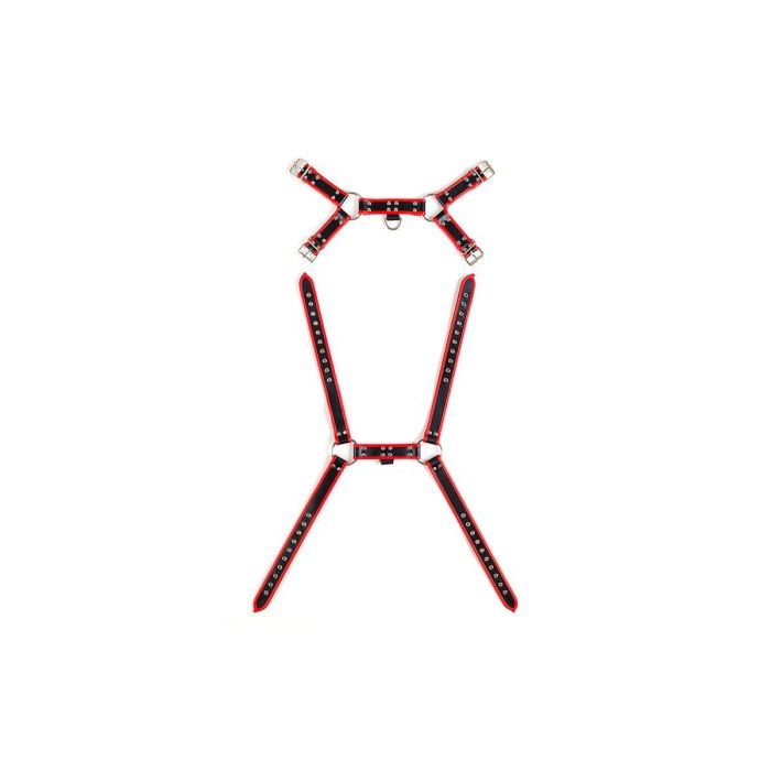 Arnés Virgite MOD. 1 4