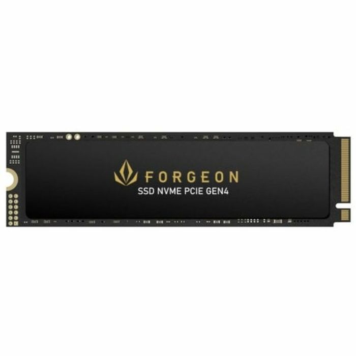 Disco Duro Forgeon 2 TB SSD