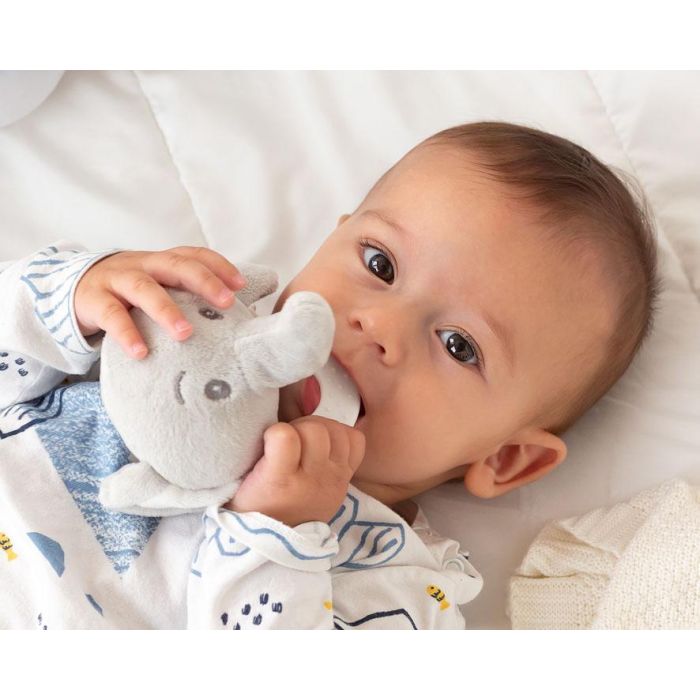 KioKids Mordedor Peluche Elefante Gris 13 cm para Bebés con Dentición 1 KioKids Mordedor Peluche Elefante Gris 13 cm para Bebés con Dentición 1
