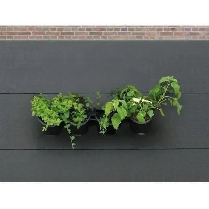 Nature Jardinera de pared - Kit con soporte y 4 maceteros (1 L) - Negro - Dimensiones A 15 x L 60 cm 5 Nature Jardinera de pared - Kit con soporte y 4 maceteros (1 L) - Negro - Dimensiones A 15 x L 60 cm 5