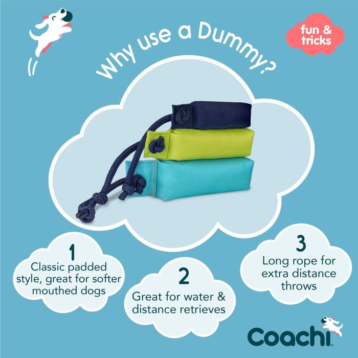 Juguete de adiestramiento Coachi TRAINING DUMMY Azul 7