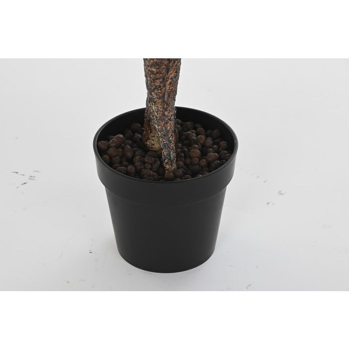 DKD Home Decor Planta Verde Rosa 60 x 125 x 60 cm 2 DKD Home Decor Planta Verde Rosa 60 x 125 x 60 cm 2