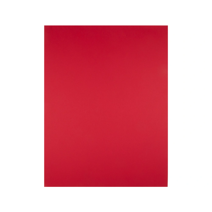 Liderpapel Cartulina 50x65 cm 240g/m2 Rojo Navidad para Dibujo y Manualidades 1