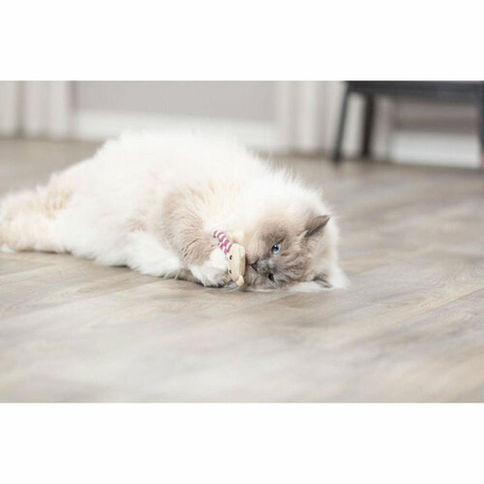 Juguete para gatos Trixie 1