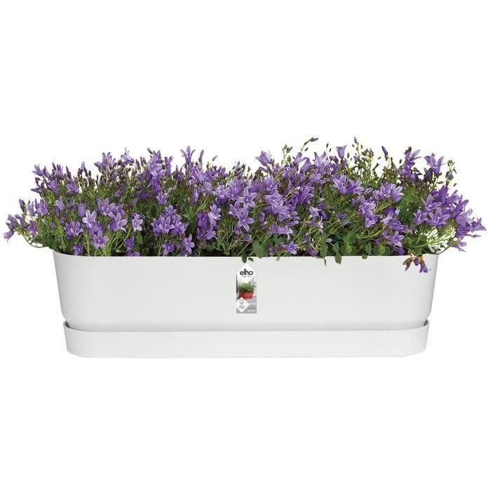 Plantera ovalada Greenville - Plastic - Ø70 - Green de hoja 3 Plantera ovalada Greenville - Plastic - Ø70 - Green de hoja 3