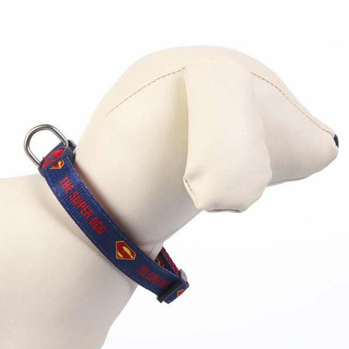 Collar para Perro DC Pets 2